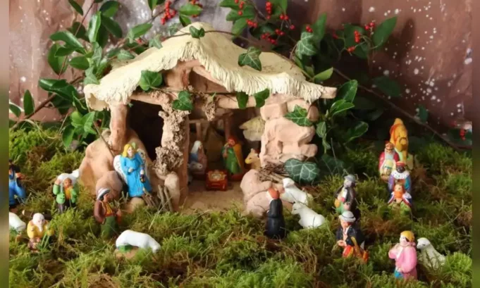 SERFOR advierte que la extracción ilegal de musgo sigue en aumento durante las fiestas navideñas y recuerda que su uso afecta gravemente a los ecosistemas, por lo que recomienda materiales alternativos y sostenibles para los nacimientos.