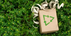Ideas de regalos ecológicos que priorizan materiales reutilizables, educación ambiental y apoyo a emprendimientos responsables, con menor impacto en el planeta.