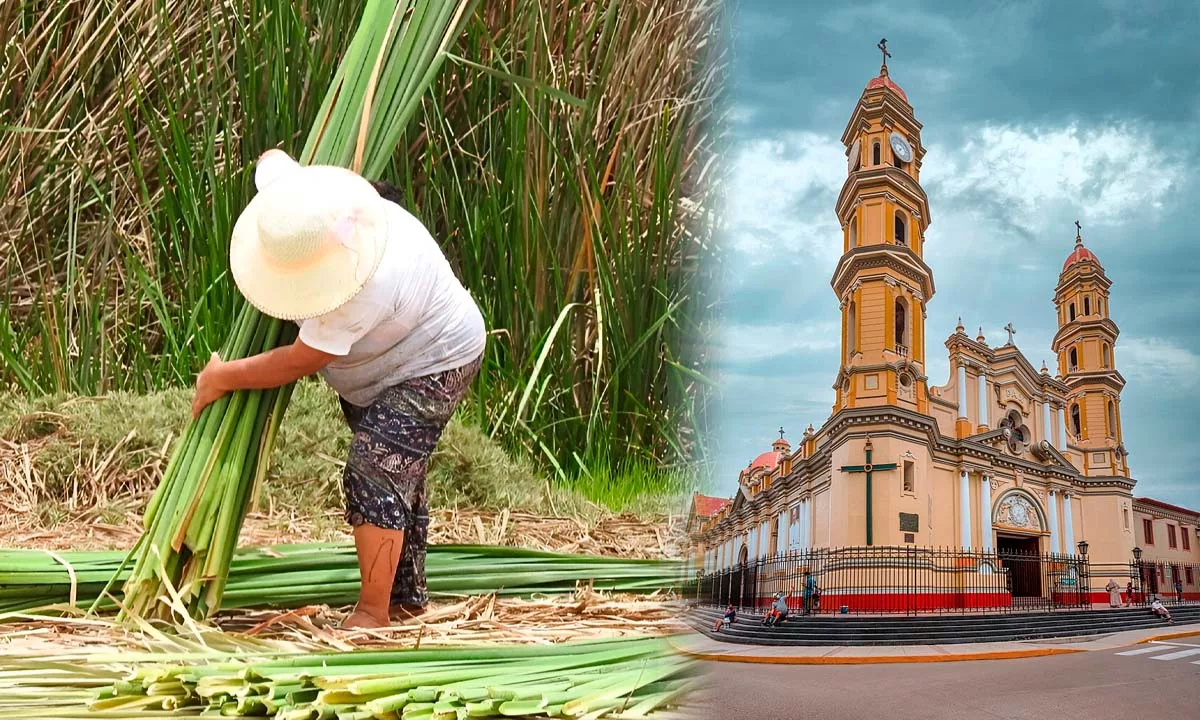 Piura mejora tres posiciones en el ranking ambiental 2025 gracias a acciones enfocadas en manejo de residuos, protección hídrica y fortalecimiento de la gobernanza local.