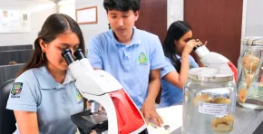 UNALM impulsa la investigación universitaria al subvencionar 87 proyectos estudiantiles orientados a innovación, sostenibilidad y desarrollo científico en el país.