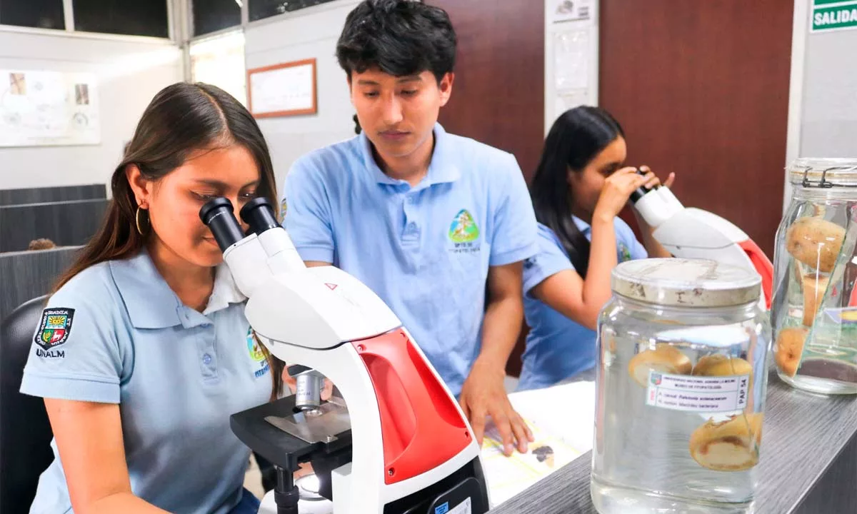 UNALM impulsa la investigación universitaria al subvencionar 87 proyectos estudiantiles orientados a innovación, sostenibilidad y desarrollo científico en el país.