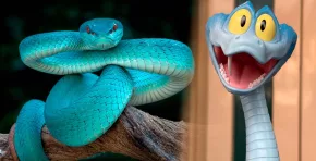 El llamado “efecto Gary” expone cómo la cultura pop puede influir en decisiones de consumo peligrosas, reabriendo el debate sobre regulación del comercio de animales exóticos. Foto: Stakeholders.