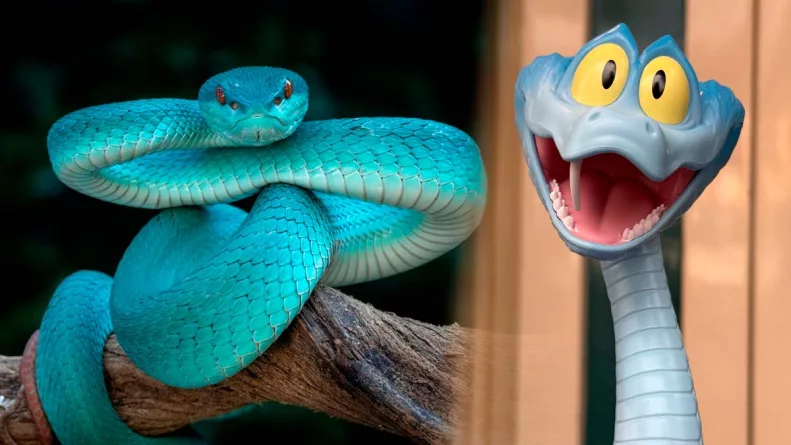 El llamado “efecto Gary” expone cómo la cultura pop puede influir en decisiones de consumo peligrosas, reabriendo el debate sobre regulación del comercio de animales exóticos. Foto: Stakeholders.