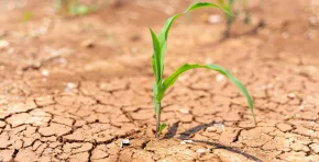 La ONU alerta que la crisis del agua ya no es reversible y exige cambios estructurales en agricultura, industria y políticas públicas para evitar un colapso hídrico mundial.