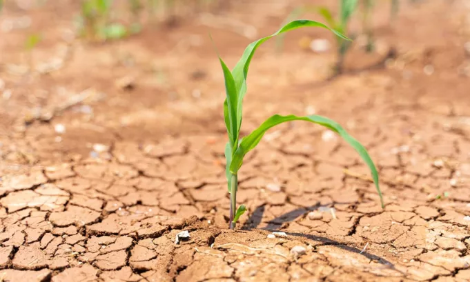La ONU alerta que la crisis del agua ya no es reversible y exige cambios estructurales en agricultura, industria y políticas públicas para evitar un colapso hídrico mundial.
