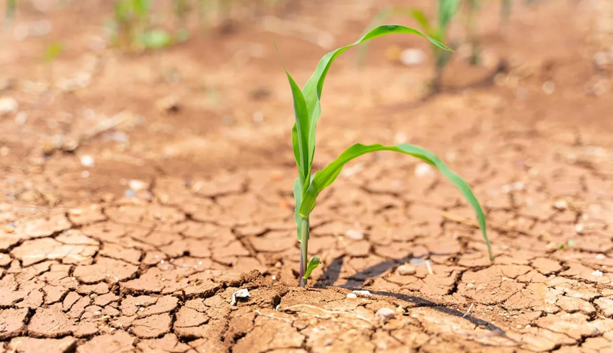 La ONU alerta que la crisis del agua ya no es reversible y exige cambios estructurales en agricultura, industria y políticas públicas para evitar un colapso hídrico mundial.