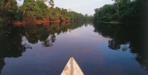 Senamhi monitorea el incremento de los ríos en la Amazonía peruana por precipitaciones continuas. Ucayali registra umbral naranja, mientras Amazonas y Marañón se aproximan a niveles de alerta.