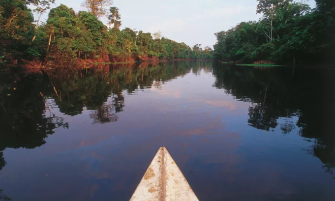 Senamhi monitorea el incremento de los ríos en la Amazonía peruana por precipitaciones continuas. Ucayali registra umbral naranja, mientras Amazonas y Marañón se aproximan a niveles de alerta.