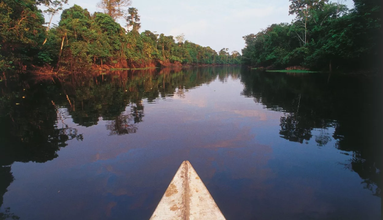 Senamhi monitorea el incremento de los ríos en la Amazonía peruana por precipitaciones continuas. Ucayali registra umbral naranja, mientras Amazonas y Marañón se aproximan a niveles de alerta.