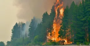 La cooperación binacional se activa frente al avance del fuego en Chubut y el Parque Nacional Los Alerces, con apoyo aéreo y terrestre de Chile para reforzar las tareas de contención en la Patagonia argentina.