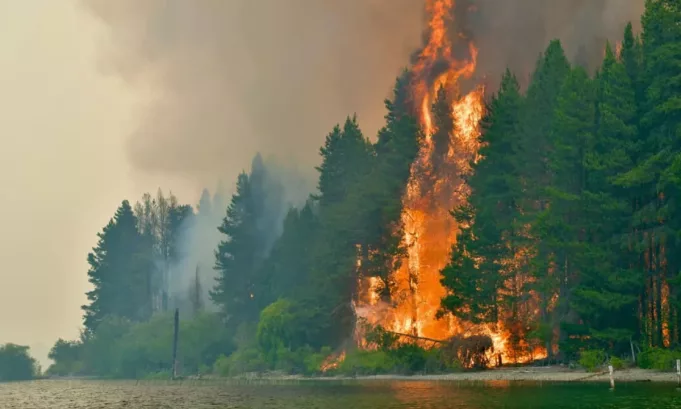 La cooperación binacional se activa frente al avance del fuego en Chubut y el Parque Nacional Los Alerces, con apoyo aéreo y terrestre de Chile para reforzar las tareas de contención en la Patagonia argentina.