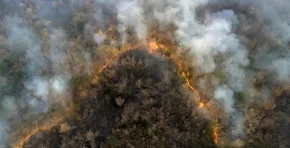 La Amazonía brasileña registró en 2025 el menor número de incendios forestales desde 1998, con una caída del 69 % frente al año anterior, según datos oficiales.