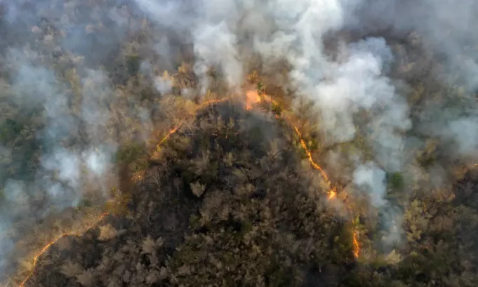 La Amazonía brasileña registró en 2025 el menor número de incendios forestales desde 1998, con una caída del 69 % frente al año anterior, según datos oficiales.