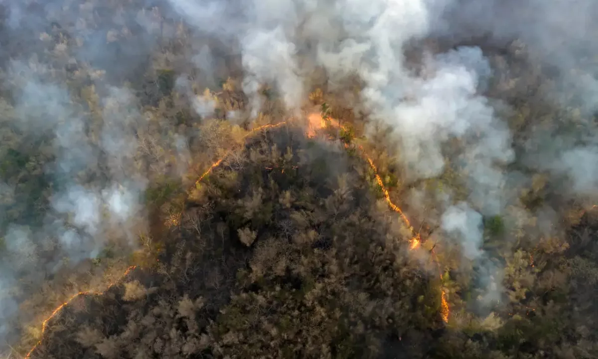 La Amazonía brasileña registró en 2025 el menor número de incendios forestales desde 1998, con una caída del 69 % frente al año anterior, según datos oficiales.