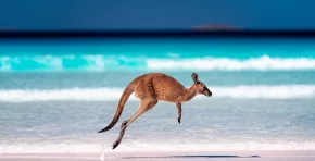 La experiencia del Western River Refuge en Australia confirma que la restauración ecológica puede acelerarse cuando se reducen las presiones humanas, ofreciendo un modelo replicable para la conservación de especies en peligro.