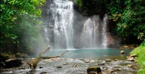 Loreto avanza en la protección de más de 98 mil hectáreas de bosques amazónicos tras la aprobación del expediente técnico del Área de Conservación Regional Aguas Calientes Maquía.