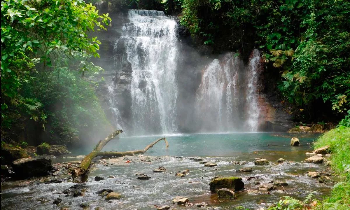 Loreto avanza en la protección de más de 98 mil hectáreas de bosques amazónicos tras la aprobación del expediente técnico del Área de Conservación Regional Aguas Calientes Maquía.