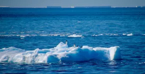 El Contenido Calorífico del Océano alcanzó un récord sin precedentes por noveno año consecutivo, evidenciando el rol clave del océano en la crisis climática y los riesgos crecientes para los ecosistemas y las sociedades humanas.