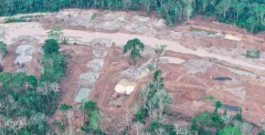 La minería ilegal obliga al cierre temporal de la estación científica más antigua del Perú en la Amazonía, poniendo en riesgo décadas de investigación, monitoreo climático y protección de biodiversidad.