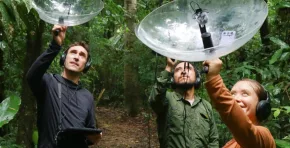 La iniciativa peruana Proyecto 8 Primates recibió un premio internacional por integrar investigación científica, participación del viajero y conservación de la biodiversidad en la Amazonía.