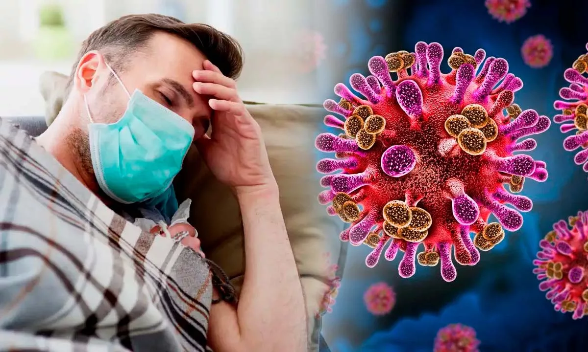 El virus Nipah reaparece en la India con casos confirmados y cuarentenas preventivas, encendiendo las alertas sanitarias por su elevada mortalidad y la ausencia de vacuna, en un contexto de vigilancia reforzada y control internacional.