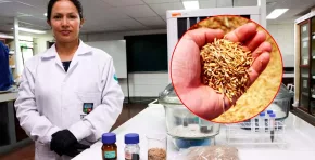 La investigación de la Universidad Agraria La Molina apuesta por la economía circular y la innovación científica para mitigar el impacto ambiental de la minería y proteger la salud de las comunidades.