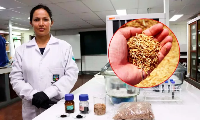 La investigación de la Universidad Agraria La Molina apuesta por la economía circular y la innovación científica para mitigar el impacto ambiental de la minería y proteger la salud de las comunidades.