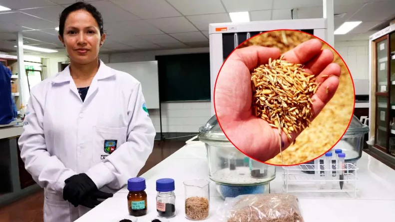 La investigación de la Universidad Agraria La Molina apuesta por la economía circular y la innovación científica para mitigar el impacto ambiental de la minería y proteger la salud de las comunidades.