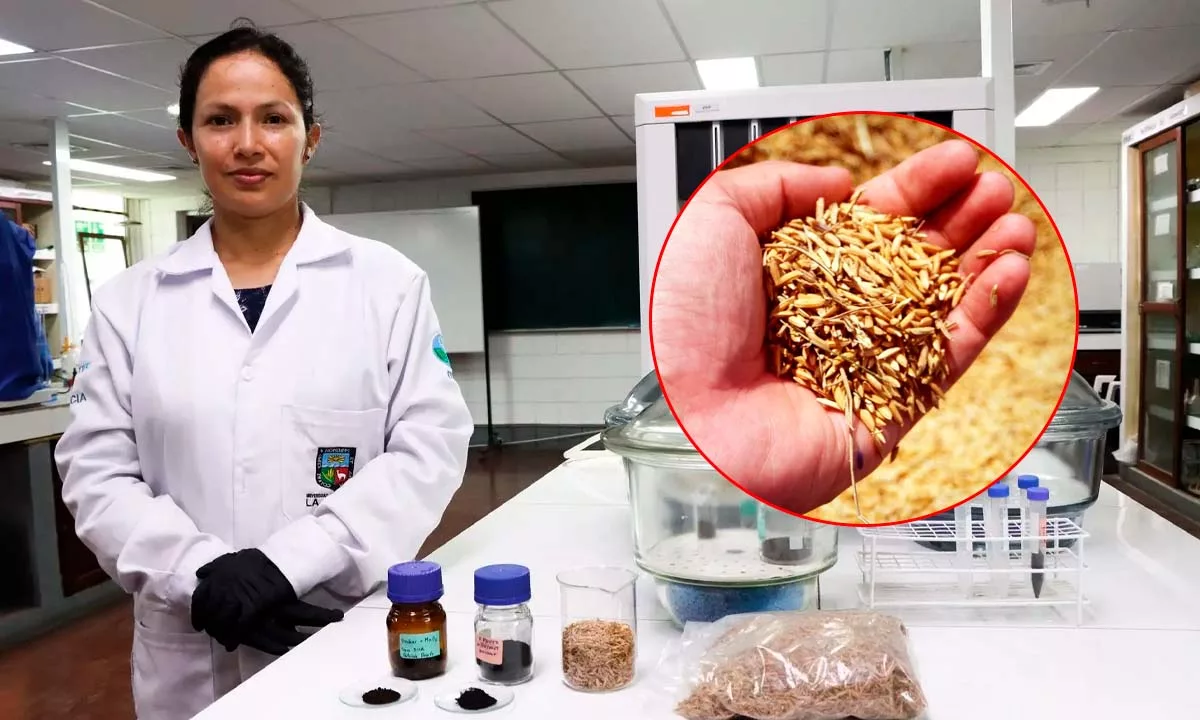 La investigación de la Universidad Agraria La Molina apuesta por la economía circular y la innovación científica para mitigar el impacto ambiental de la minería y proteger la salud de las comunidades.