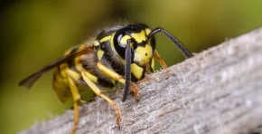 iNTRO: La gestión responsable volvió al centro del debate empresarial. Stakeholders acompañó la presentación del Ranking Merco Responsabilidad ESG 2024 en la Universidad ESAN, donde se analizó el avance de las empresas peruanas en sostenibilidad y buen gobierno. CIERRE: El reto ahora es pasar del reconocimiento a la acción. En Stakeholders seguimos atentos a cómo las empresas convierten el enfoque ESG en resultados concretos.