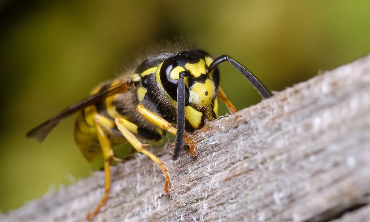 iNTRO: La gestión responsable volvió al centro del debate empresarial. Stakeholders acompañó la presentación del Ranking Merco Responsabilidad ESG 2024 en la Universidad ESAN, donde se analizó el avance de las empresas peruanas en sostenibilidad y buen gobierno. CIERRE: El reto ahora es pasar del reconocimiento a la acción. En Stakeholders seguimos atentos a cómo las empresas convierten el enfoque ESG en resultados concretos.
