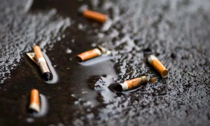 Estudios advierten que las colillas de cigarrillos liberan microplásticos y toxinas al mojarse, un proceso rápido y silencioso que agrava la contaminación de ríos urbanos y afecta a la fauna acuática.