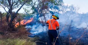 El aumento de puntos de calor y la vegetación seca han intensificado los incendios en El Salvador, obligando a las autoridades a desplegar una respuesta coordinada para proteger a la población y los ecosistemas.