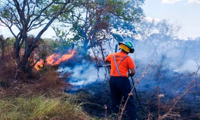 El aumento de puntos de calor y la vegetación seca han intensificado los incendios en El Salvador, obligando a las autoridades a desplegar una respuesta coordinada para proteger a la población y los ecosistemas.