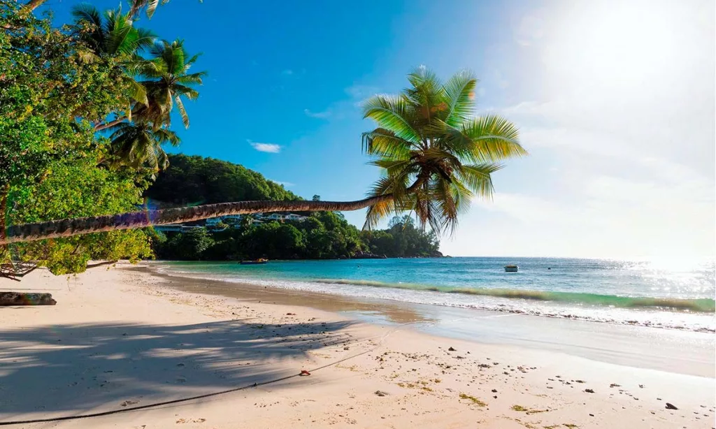 La isla paradisíaca del Caribe donde sus propios habitantes tienen ...
