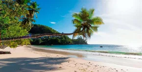 La privatización de playas en Jamaica ha reducido drásticamente el acceso de las comunidades locales al litoral y crece la resistencia social frente a un modelo que excluye a los propios habitantes del paraíso caribeño.