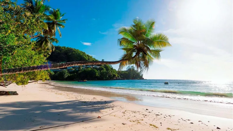 La privatización de playas en Jamaica ha reducido drásticamente el acceso de las comunidades locales al litoral y crece la resistencia social frente a un modelo que excluye a los propios habitantes del paraíso caribeño.