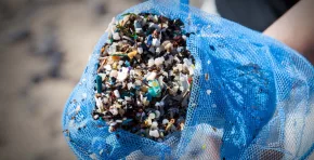 La investigación advierte que actividades cotidianas como el tráfico, el desgaste textil y la resuspensión de suelos contaminados impulsan la presencia global de microplásticos atmosféricos, con posibles impactos en la salud, los ecosistemas y el clima.