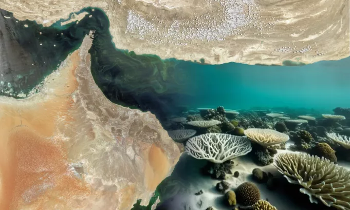 La desoxigenación acelerada del golfo de Omán revela cómo el calentamiento global y el exceso de nutrientes están asfixiando al océano, ampliando la mayor zona muerta del mundo y elevando los riesgos ambientales y climáticos a escala planetaria.