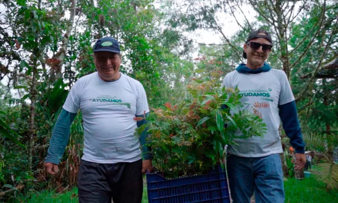 Grupo Mebol, en alianza con la ONG CNEH Perú, inició la reforestación de 1,000 árboles nativos en Oxapampa como parte de la campaña “Cuando ayudamos, nos ayudamos”, con el objetivo de recuperar ecosistemas degradados.