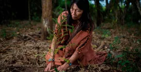 Grupo Mebol, en alianza con la ONG CNEH Perú, inició la reforestación de 1,000 árboles nativos en Oxapampa como parte de la campaña “Cuando ayudamos, nos ayudamos”, con el objetivo de recuperar ecosistemas degradados.