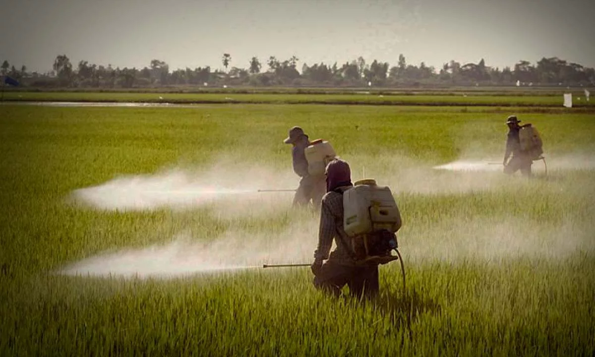 La decisión del Tribunal Constitucional podría sentar un precedente clave en la protección de derechos fundamentales frente al uso de químicos en la agricultura.