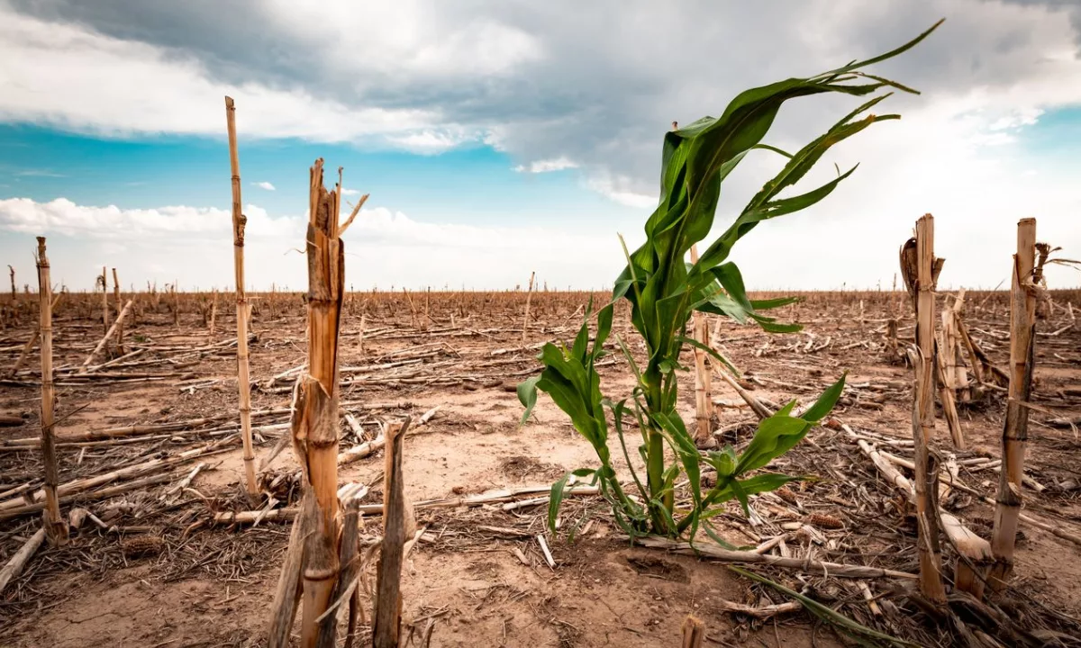 El Monitor de Sequía de la Conagua reporta que solo el 7% del territorio mantiene algún grado de afectación; más de 2.000 municipios salieron del estrés hídrico tras lluvias intensas y la recuperación del Sistema Cutzamala.
